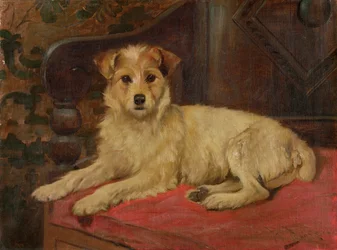 A Terrier on a Settee
